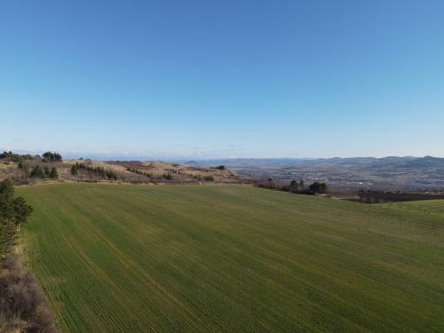 Puy d'Anzelle [05-02-2022](0403).jpg